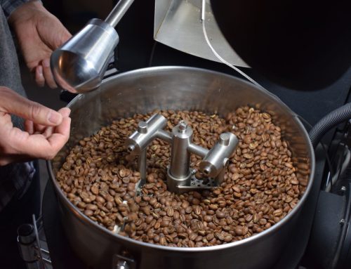 How to Start Buying Green Coffee Beans Effortlessly