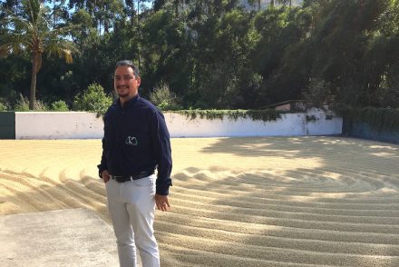 Roberto Cardona, coffee farmer support organization (FSO) leader in Guatemala.