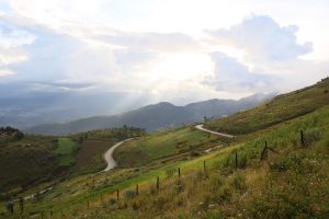 Coffee region, Huehuetenango, Guatemala