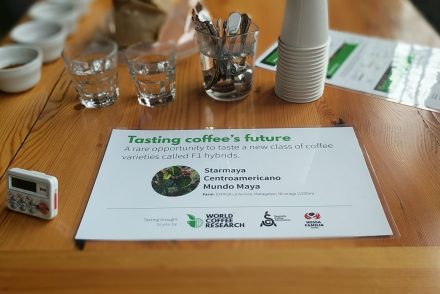 World Coffee Research