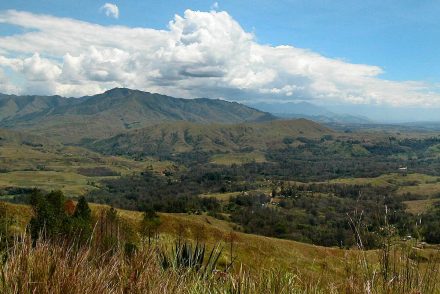 Papua New Guinea Coffee Origin, Jiwaka Province.