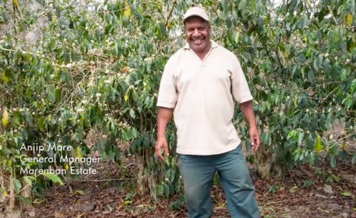 Anjip Mare on the Marenban Estate coffee plantation in PNG.