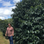 Coffee producer Marinalva Ivo as Neves, in Brazil.