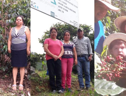 La Morena 2018 – Empowering Women Coffee Producers