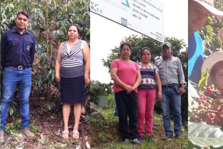 Women producers of La Morena microlot coffee 2018
