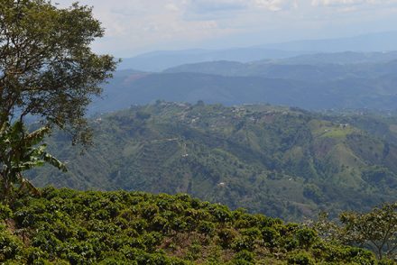 Valle del Cauca, Colombia