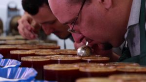 Cupping coffee in Honduras