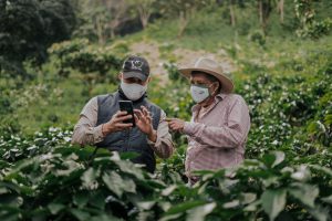 Coffee field techs during Covid