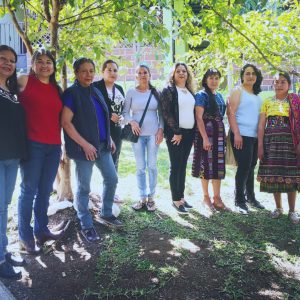 La Morena Guatemala Coffee producers 2019