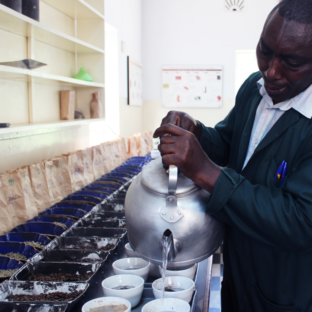 Q grader cupping coffee in Kenya 
