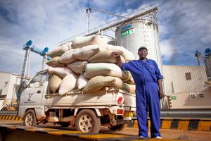 uganda weighing green coffee
