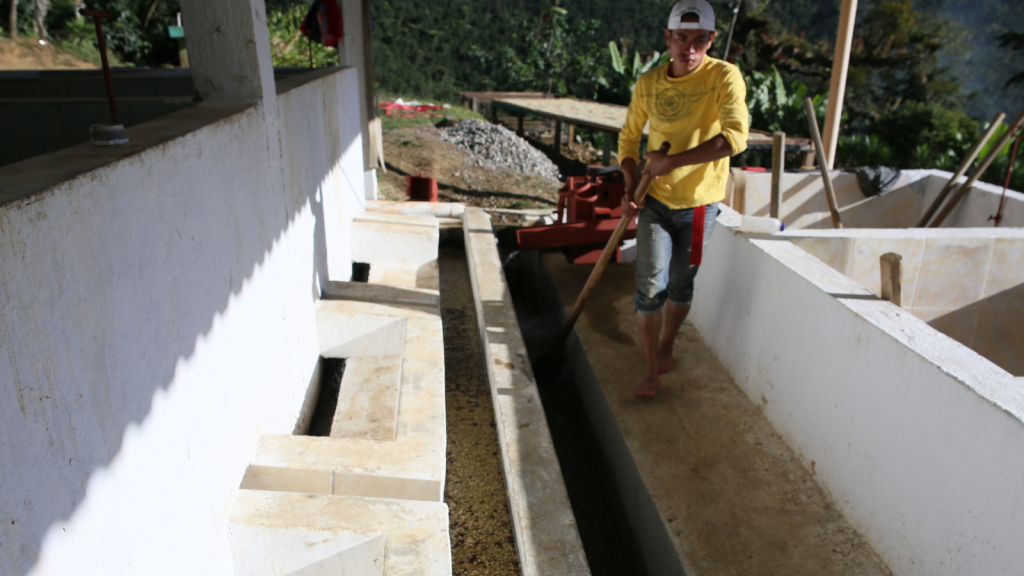 Washing coffee at a micro-mill in Huehuetenango