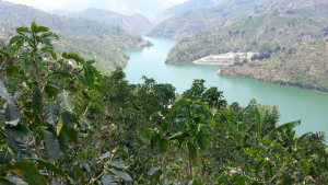 Costa Rica Tarrazu valley with river