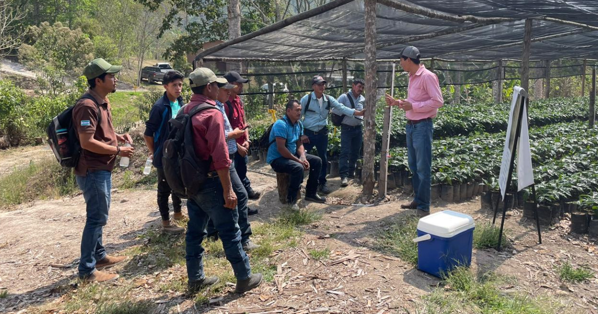 Agronomists training Honduras coffee farmers at our farm in Siguatepeque in Honduras