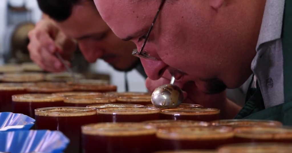 The Q-grading team at Molinos de Honduras cupping coffee