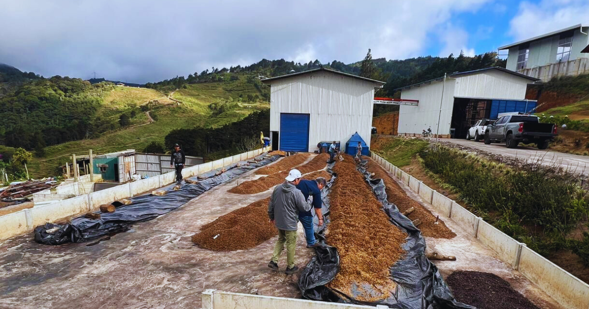 Processing coffee at the Montano Micro-Mill in Tarrazu