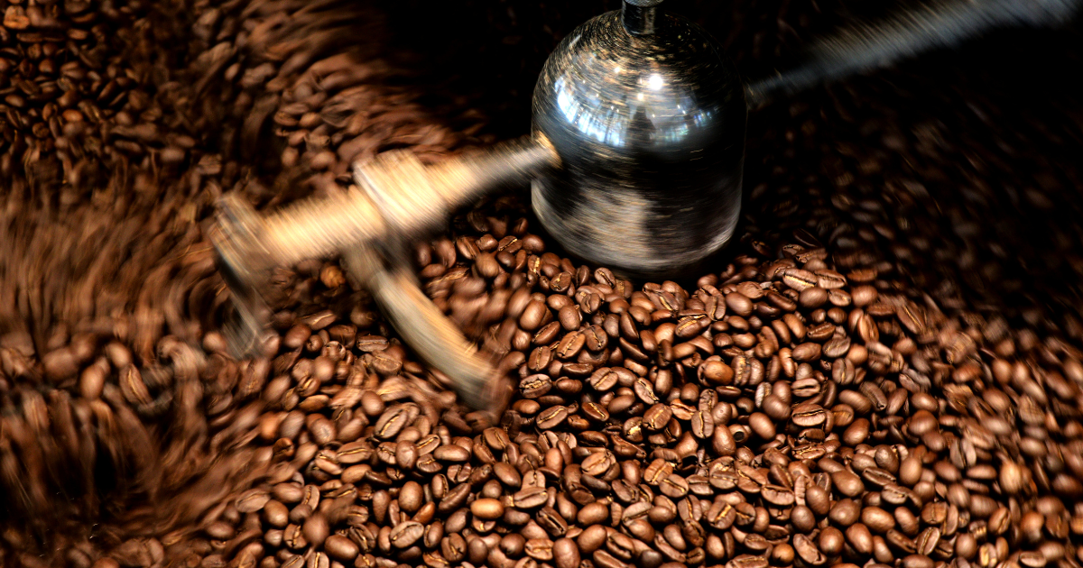 Fresh roasted coffee being cooled in a roaster tray