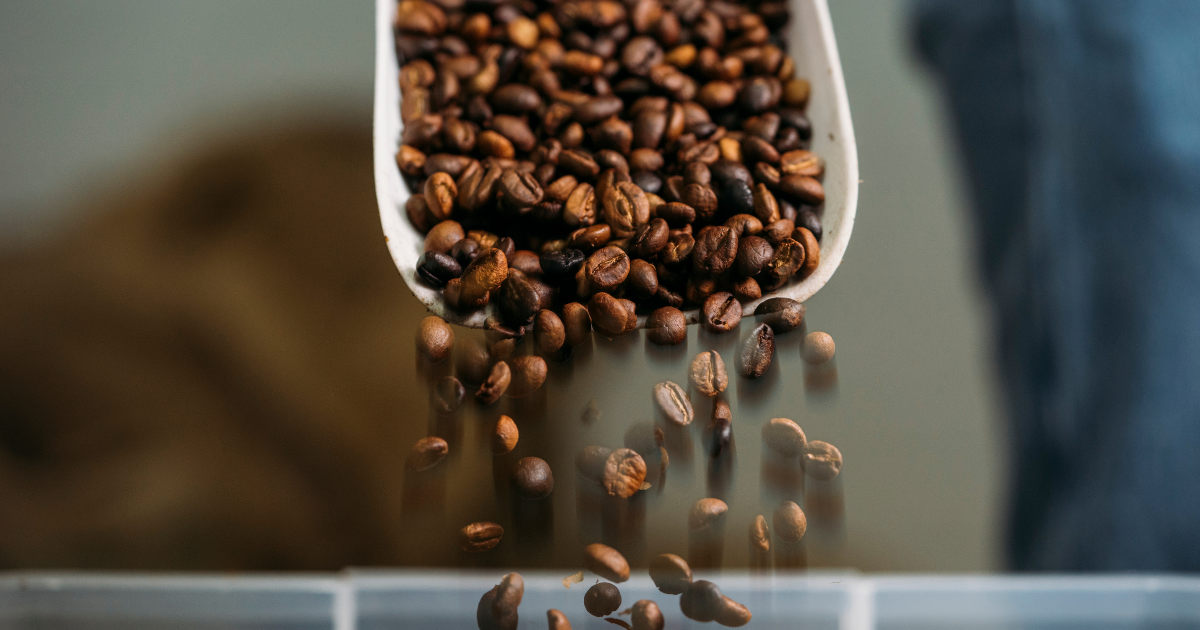 Putting fresh roasted coffee into bins with a scoop