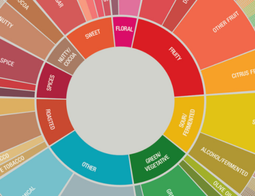 Deep Dive: The SCA Coffee Flavor Wheel