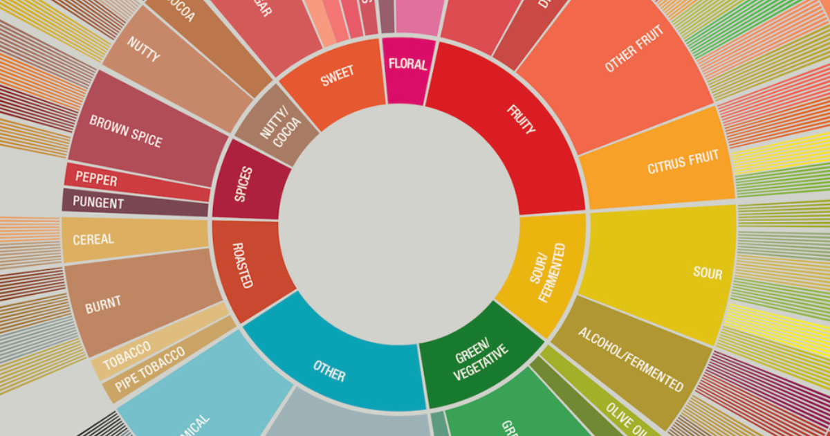 SCA Flavor Wheel Detail showing circle of primary flavors