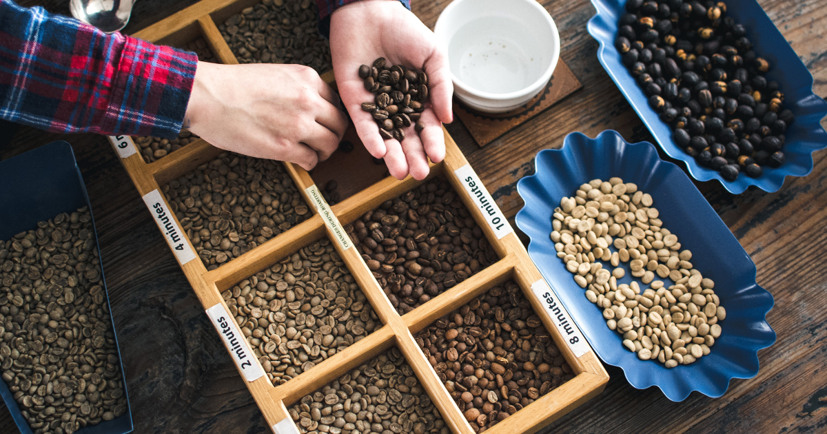 A roaster looking at different coffee roast levels placing roasted coffee in their hands