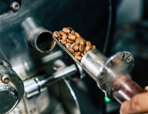 Coffee Market Update: Understanding Price & Fundamentals