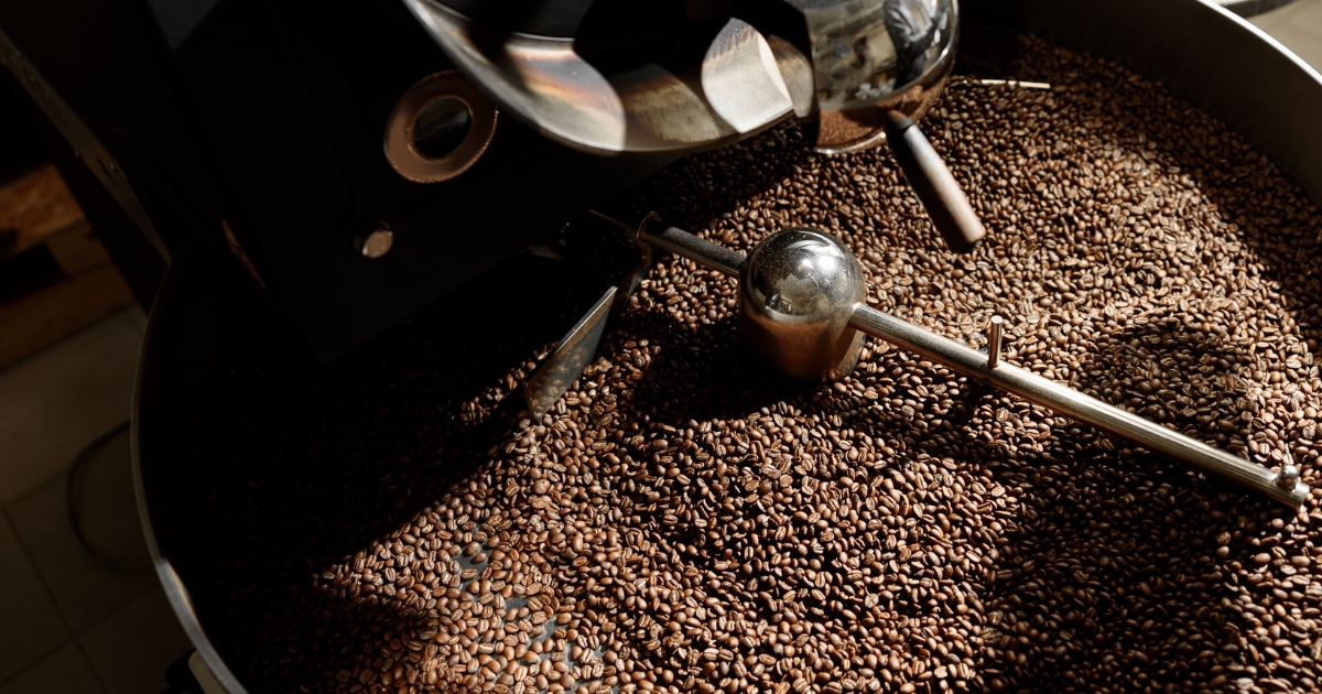 Fresh roasted coffee beans cooling in a roaster cooling tray