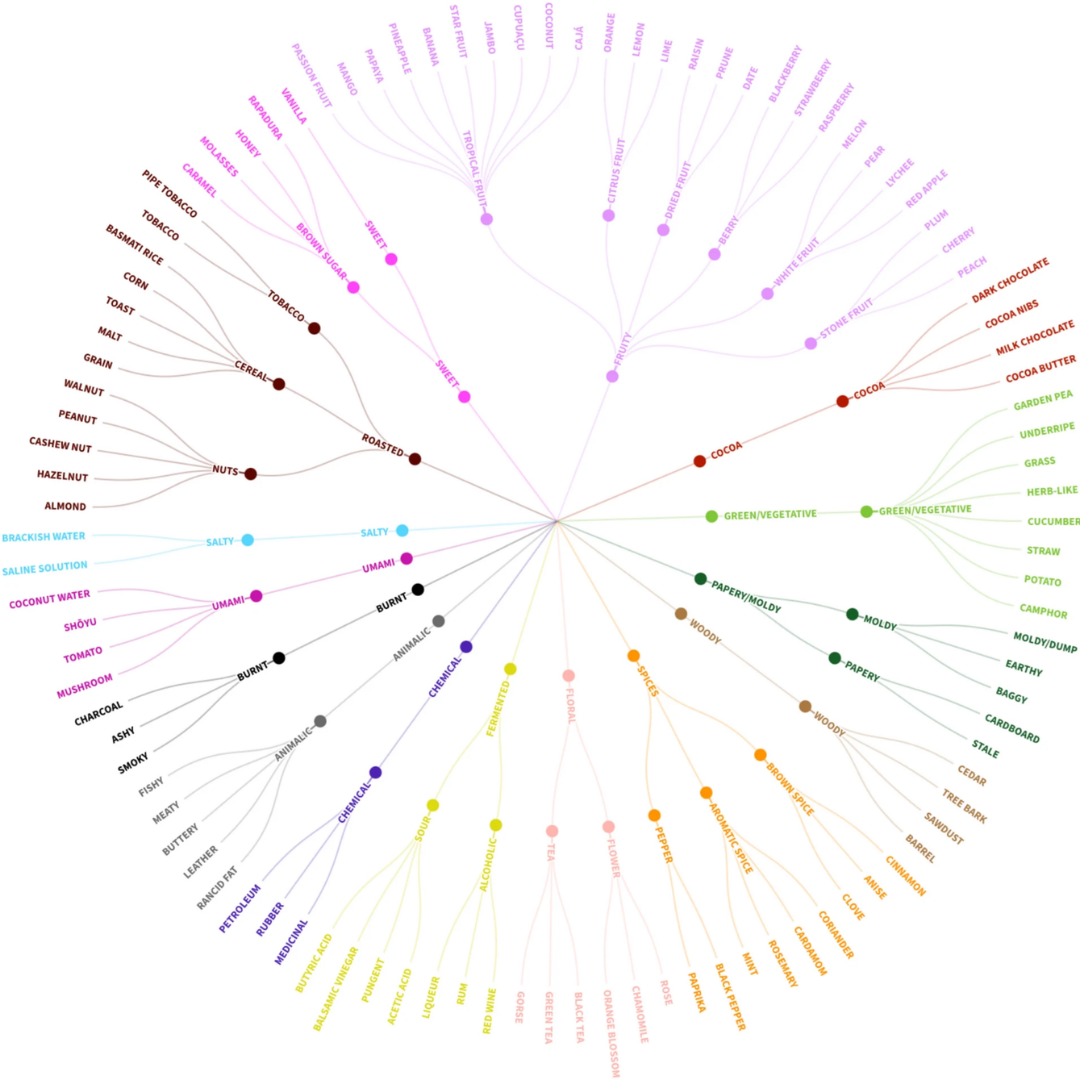 robusta-flavor-wheel - Genuine Origin Coffee Robusta flavor wheel featuring 103 descriptive terms